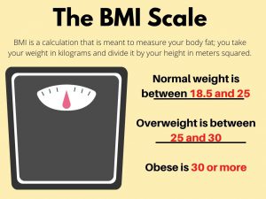 BMI scale infographic