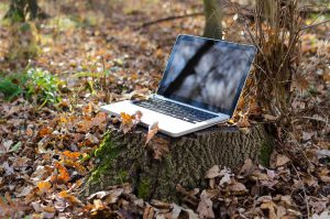 laptop outside on a tree stump
