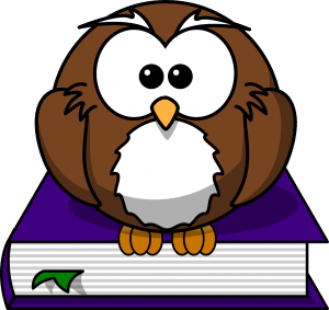 illustration of an owl sitting on a book