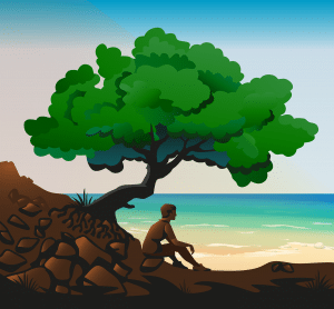 person sitting under a tree by a beach