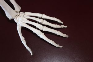 skeleton hand