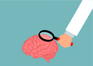 illustration of a brain with a hand holding a magnifying glass over it