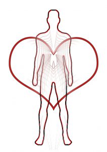 person with an outline of a heart in front of the person