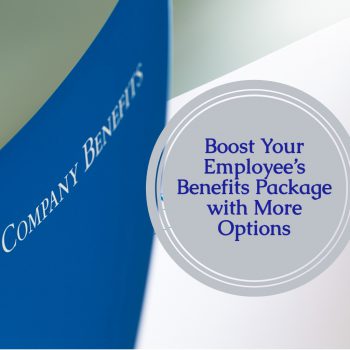 article title over a blue company benefits booklet