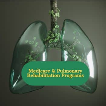 image of a glass lung with a tree growing in the lungs with the article title