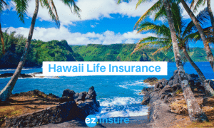hawaii life insurance text overlaying image of maui