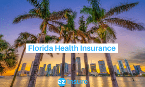 Florida health insurance text overlaying image of miami skyline behind palm trees