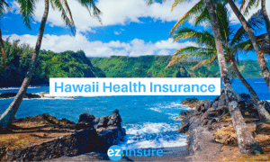 hawaii health insurance text overlaying image of maui