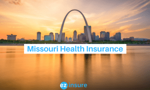 missouri health insurance text overlaying image of st.louis