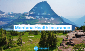 montana health insurance text overlaying image of mountain