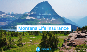 montana life insurance text overlaying image of montana mountain range
