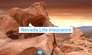 nevada life insurance text overlaying image of valley of fire