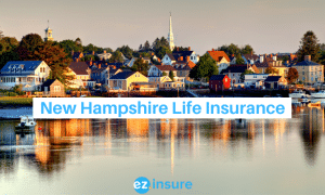 New Hampshire life insurance text overlaying image of portsmouth