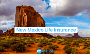 new mexico life insurance text overlaying image of new mexico cliffs