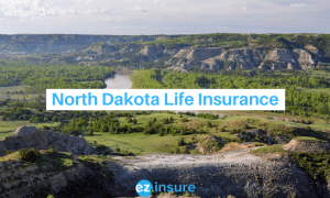 north dakota life insurance text overlaying image of the badlands
