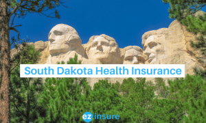 south dakota health insurance text overlaying image of mount rushmore