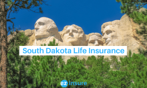 south dakota life insurance text overlaying image of mt.rushmore