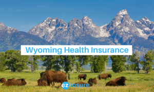 wyoming health insurance text overlaying image of mountain range