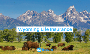 wyoming life insurance text overlaying image of mountain range with buffalo
