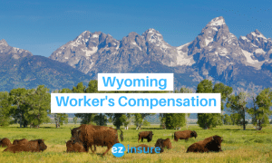 wyoming health insurance text overlaying image of mountain range