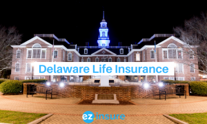 Delaware life insurance text overlaying image of Delaware capital building at night