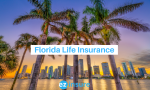 florida life insurance text overlaying image of miami skyline