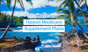 hawaii medicare supplement plans text overlaying image of maui