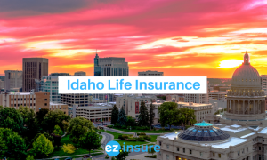 idaho life insurance text overlaying image of boise