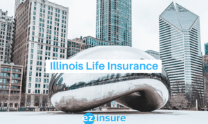 illinois life insurance text overlaying image of cloud gate