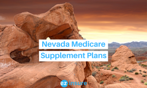 nevada medicare supplement plans text overlaying image of valley of fire