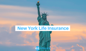 new york life insurance text overlaying image of statue of liberty