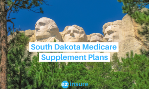 south dakota medicare supplement plans text overlaying image of mount rushmore