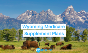 wyoming medicare supplement plans text overlaying image of mountain range
